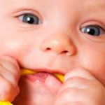 Как подобрать прорезыватель для зубчиков новорождённого?